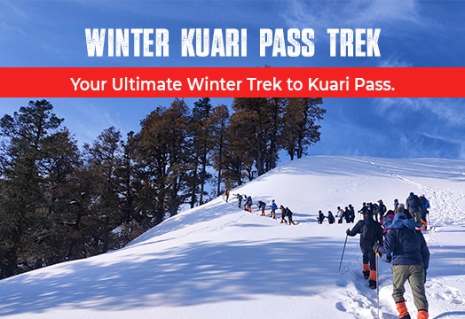 Kuari Pass Trek 2024 - Best Winter Trek in India